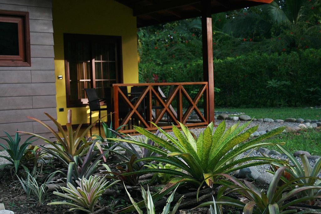 Apartamento Oasi Cahuita Habitación foto