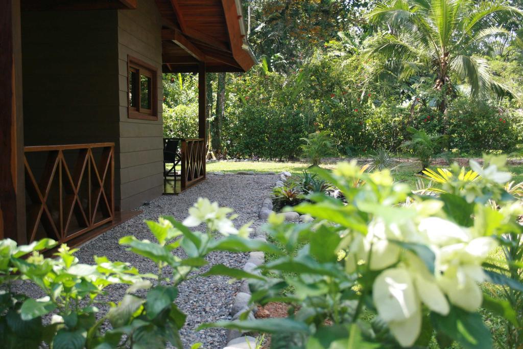 Apartamento Oasi Cahuita Exterior foto