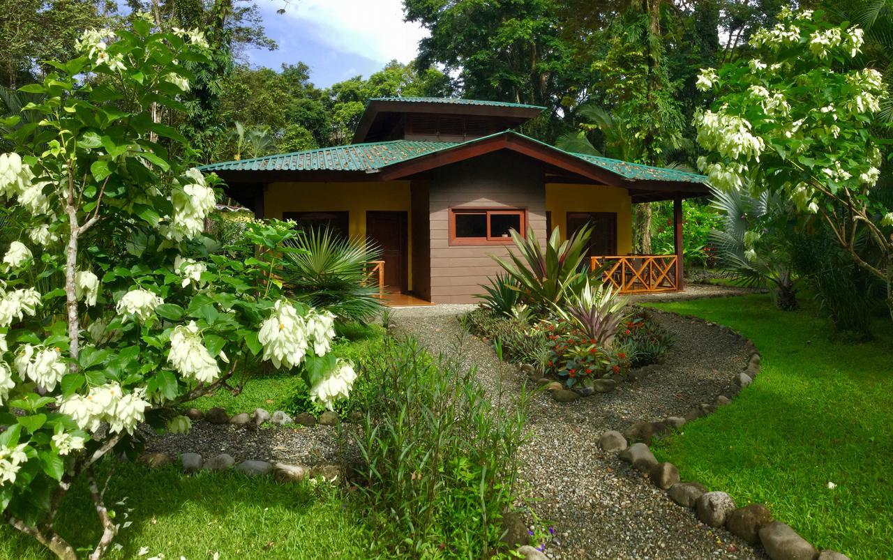 Apartamento Oasi Cahuita Exterior foto